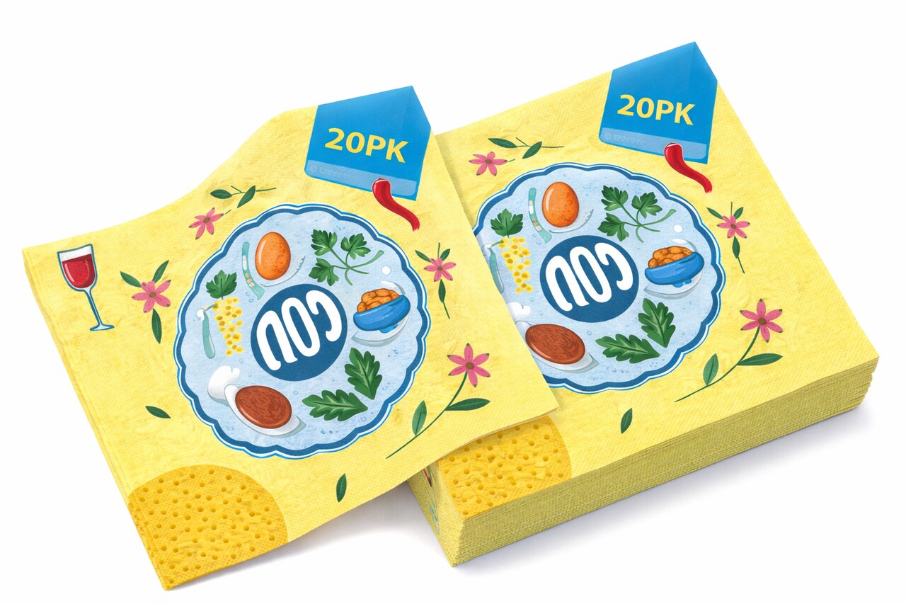 Seder Plate Pesach Party Napkins – 20 Pack | Passover Disposable Paper Napkins | Seder Table Holiday Decor